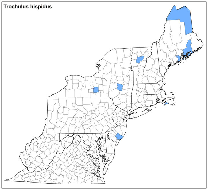 Trochulus hispidus  Range Map